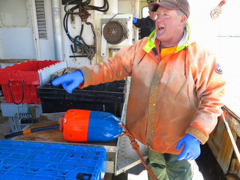 Lobster Fishing in Pubnico