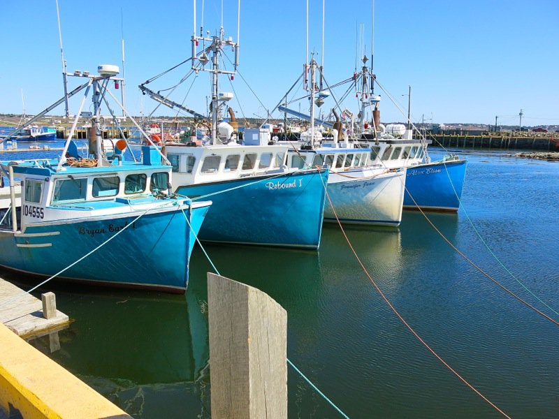 The Lobster Cars at Dennis Point Wharf in Pubnico