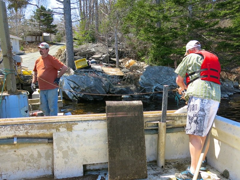 A Fieldtrip to Eel Lake Oyster Farm