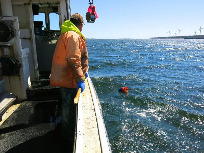 Lobster Fishing in Pubnico