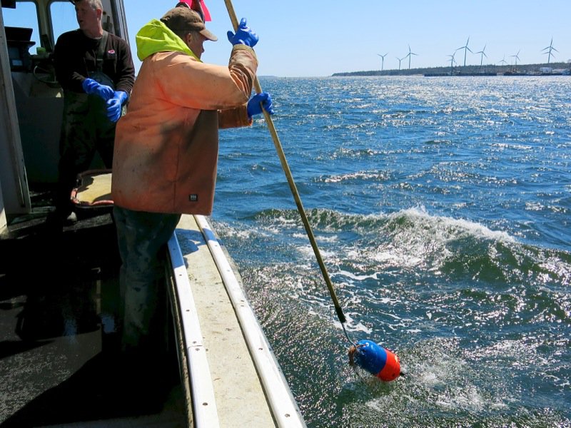 Lobster Fishing in Pubnico