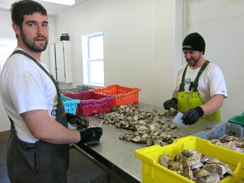 A Fieldtrip to Eel Lake Oyster Farm