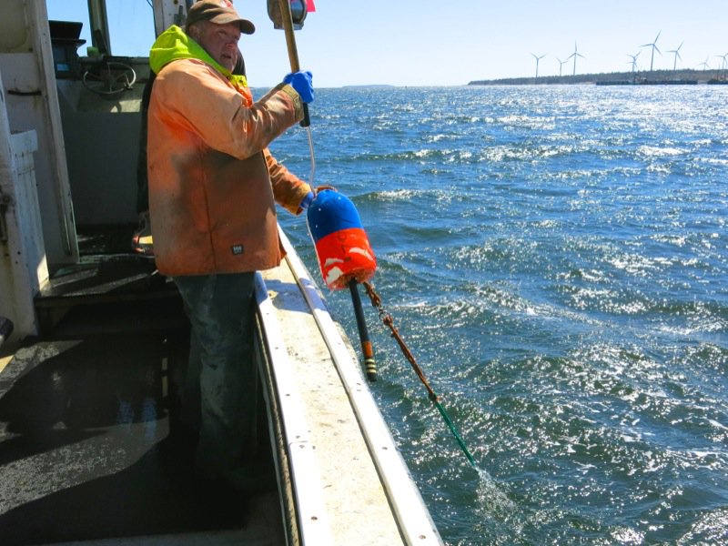 Lobster Fishing in Pubnico