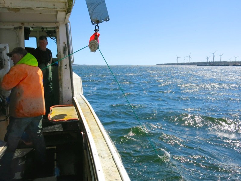 Lobster Fishing in Pubnico