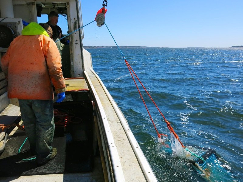 Lobster Fishing in Pubnico