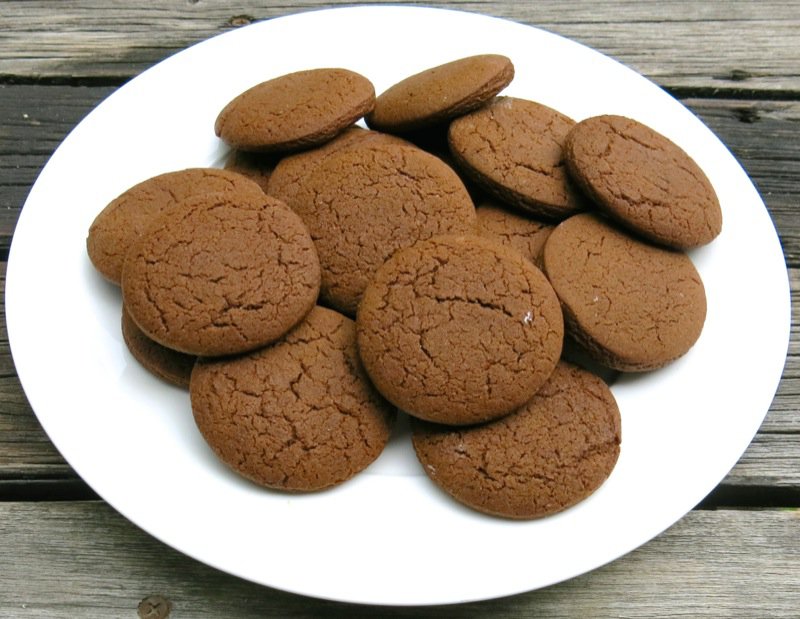 The Famous Pubnico Molasses Cookie