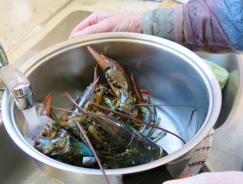 Pubnico Heritage Recipe: Fisherman Steamed Lobster