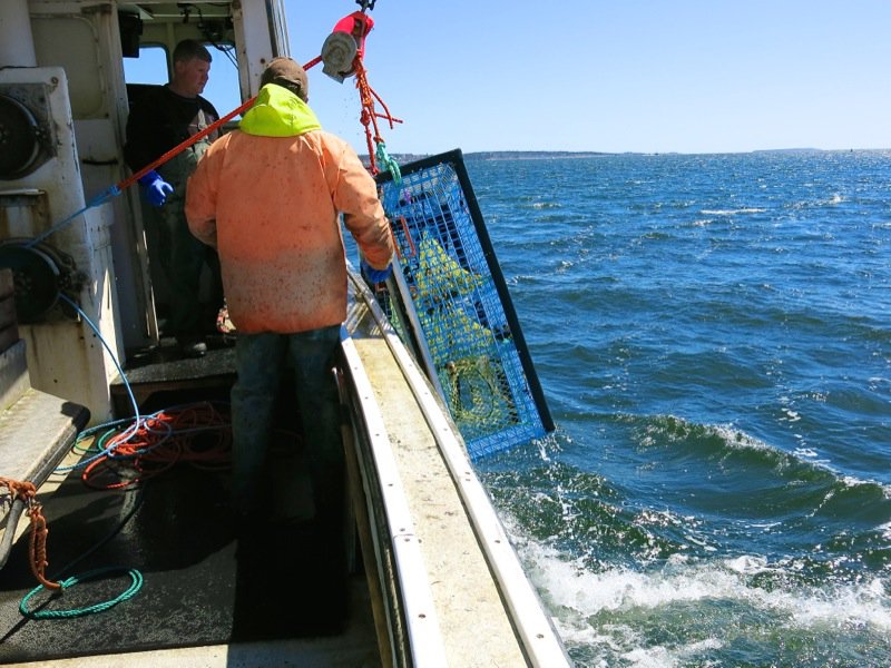 Lobster Fishing in Pubnico