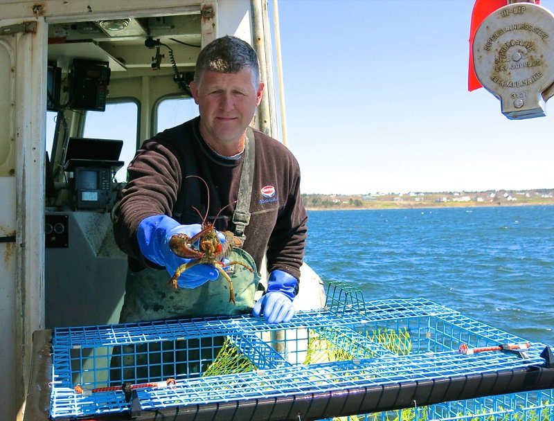 Lobster Fishing in Pubnico