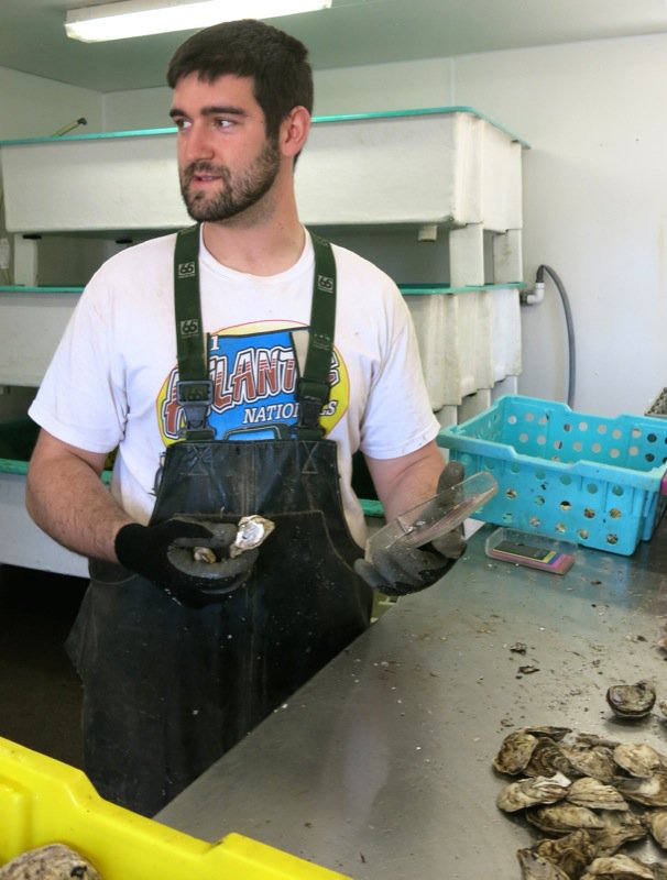 A Fieldtrip to Eel Lake Oyster Farm