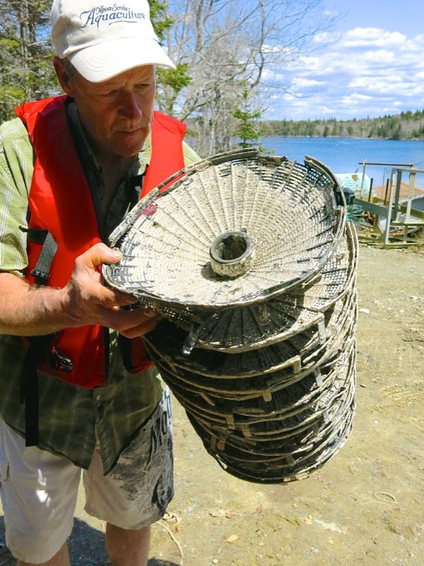 A Fieldtrip to Eel Lake Oyster Farm