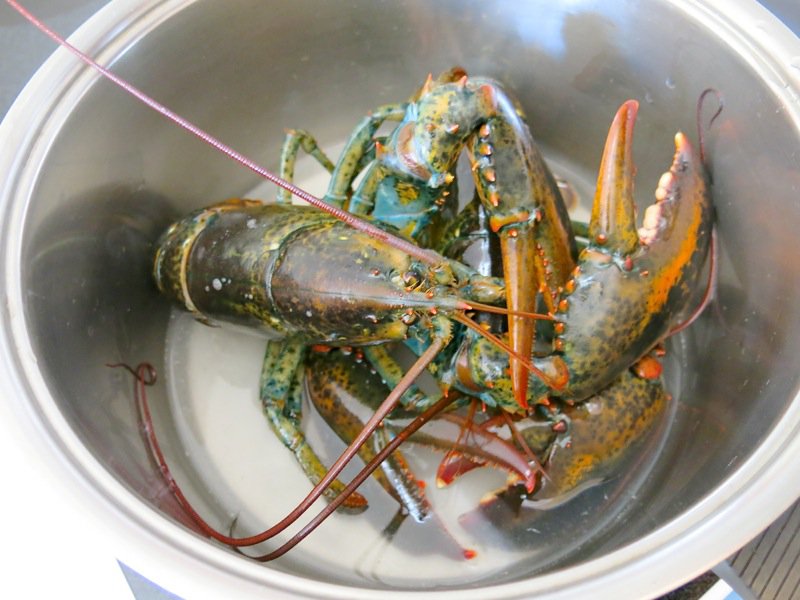 Pubnico Heritage Recipe: Fisherman Steamed Lobster