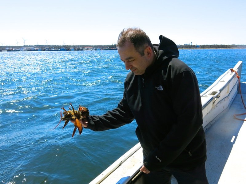 Lobster Fishing in Pubnico