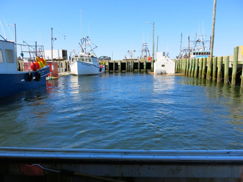 Lobster Fishing in Pubnico