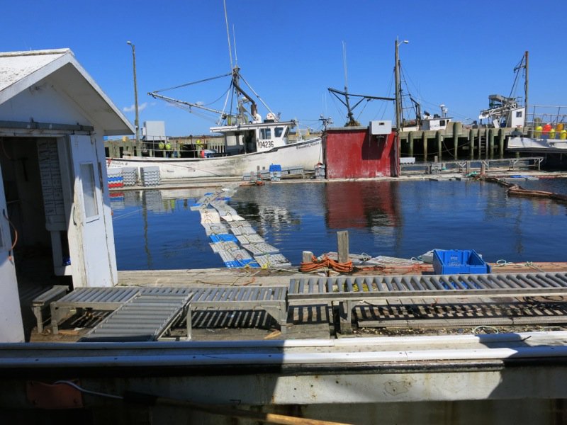 Lobster Fishing in Pubnico