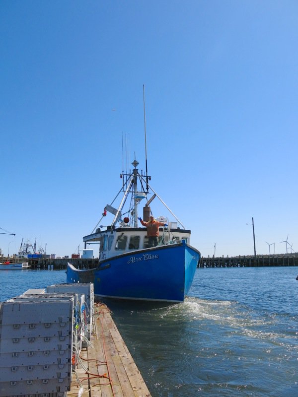 Lobster Fishing in Pubnico