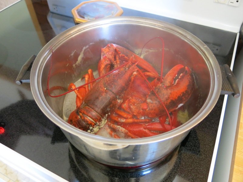 Pubnico Heritage Recipe: Fisherman Steamed Lobster