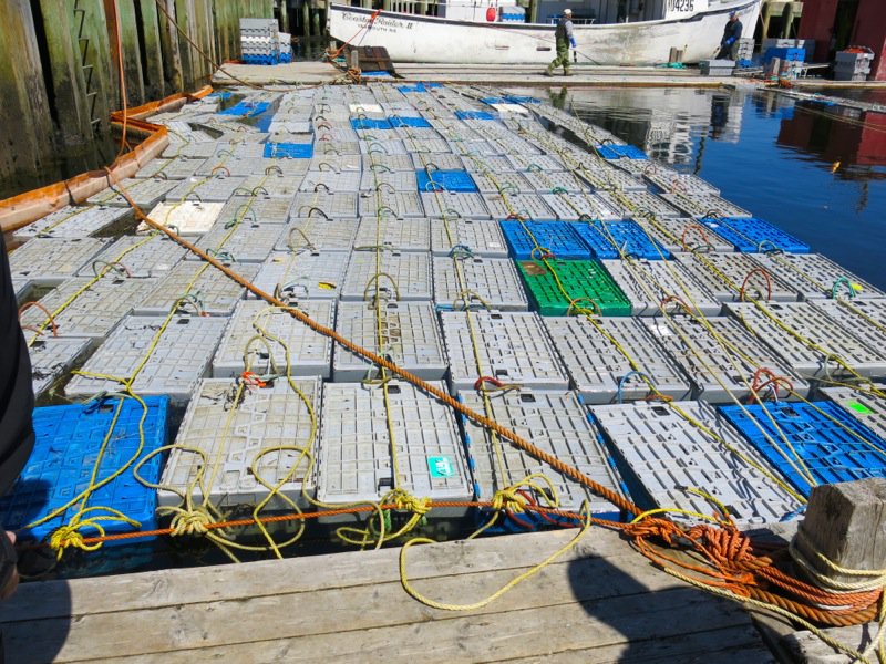 The Lobster Cars at Dennis Point Wharf in Pubnico