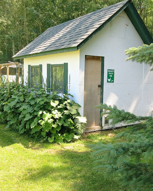 15 Margarets Chicken Coop