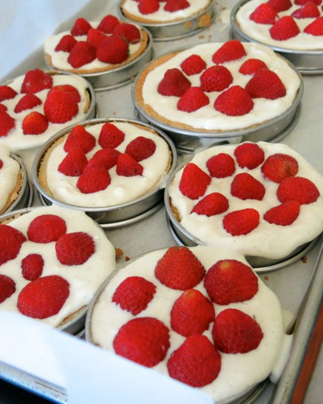 26 French Strawberry Tarts