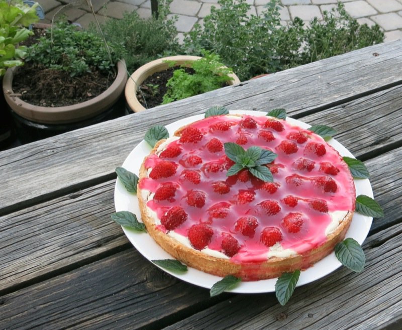 2b French Strawberry Tart