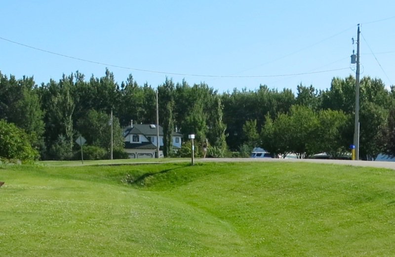 3 Saskatoon Berry Picking