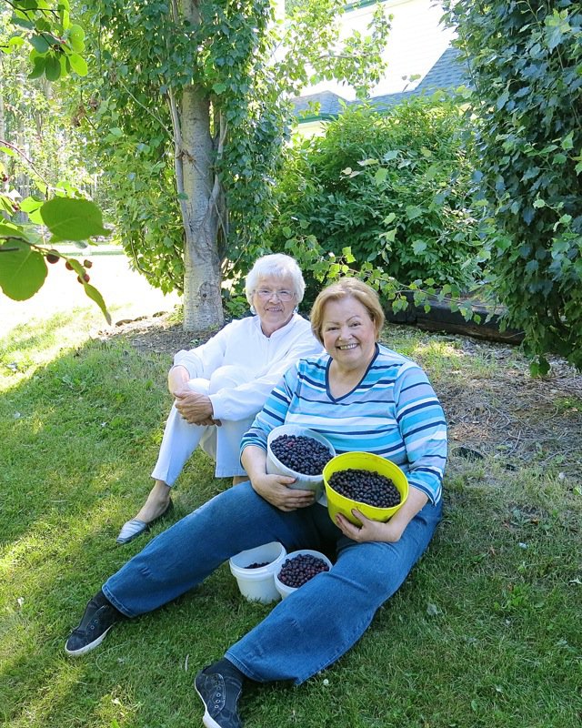 31 Valerie Lugonja and Helen McKinney 2014 Berry Picking