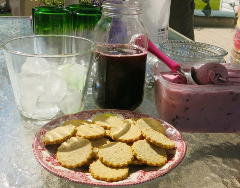 37 Saskatoon Berry Ice Cream