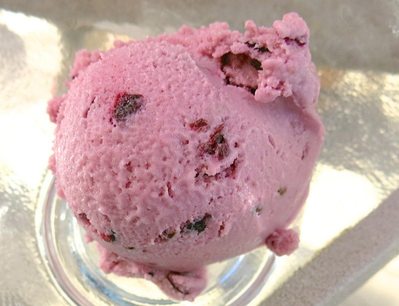 39 Saskatoon Berry Ice Cream