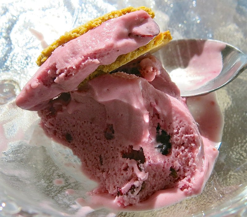 40 Saskatoon Berry Ice Cream