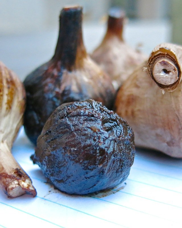 Al Picketts Eureka Black Garlic PEI