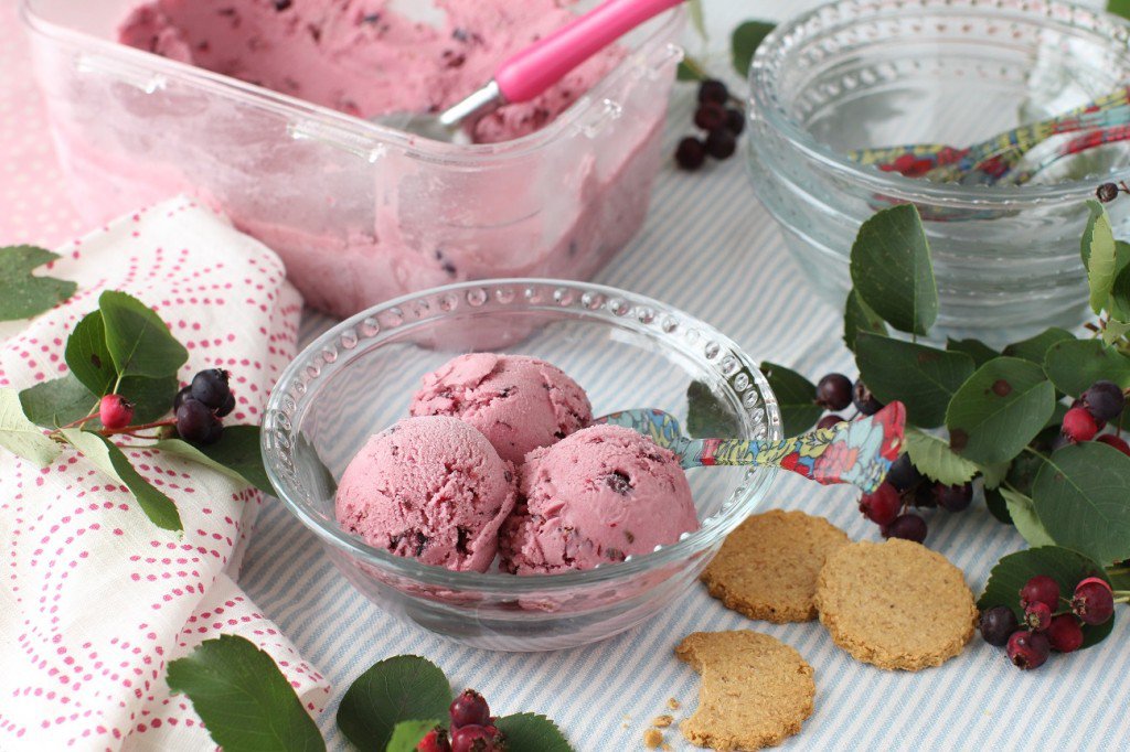 The Kitchen Frau Saskatoon Berry Ice Cream