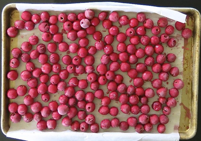9 Frozen Sour Cherries
