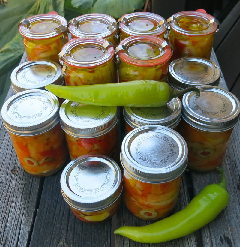 31 Giardiniera