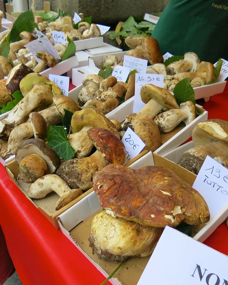 13 Alba Truffle Festival 2014