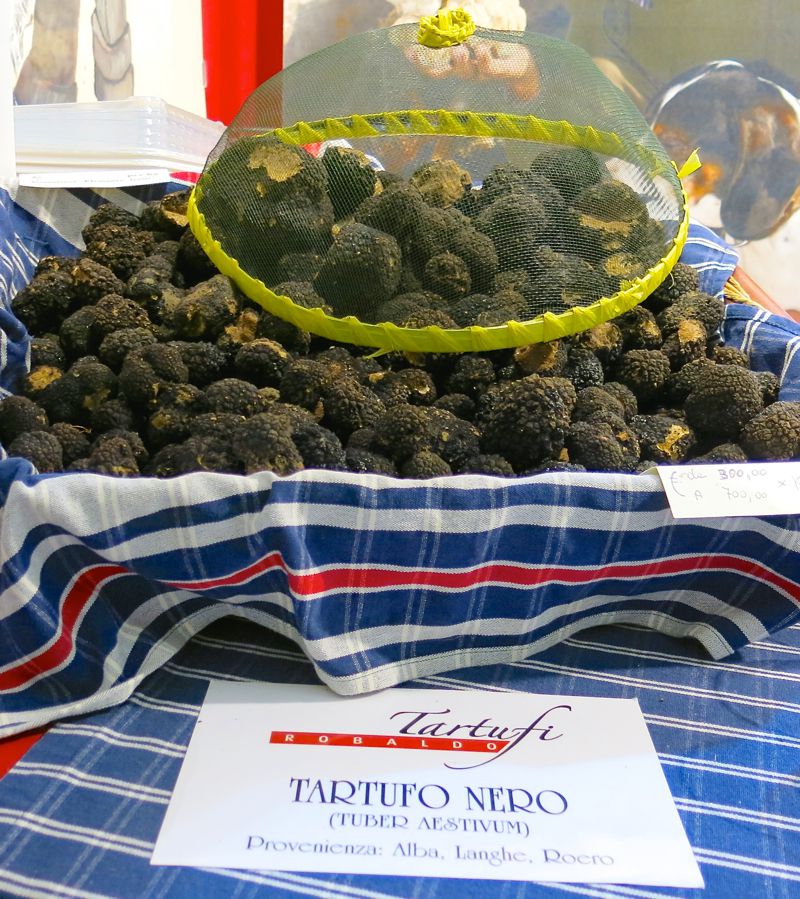 20 Alba Truffle Festival 2014