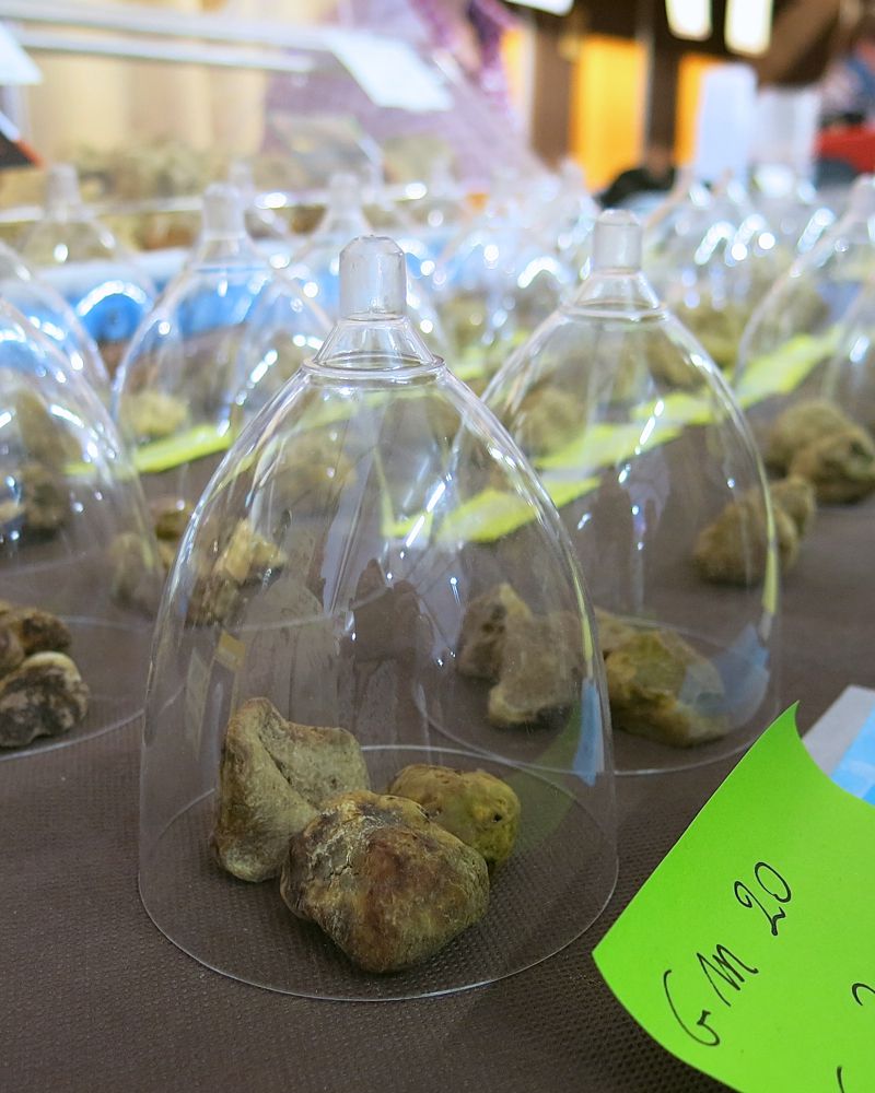 26 Alba Truffle Festival 2014