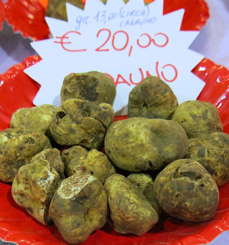 29 Alba Truffle Festival 2014