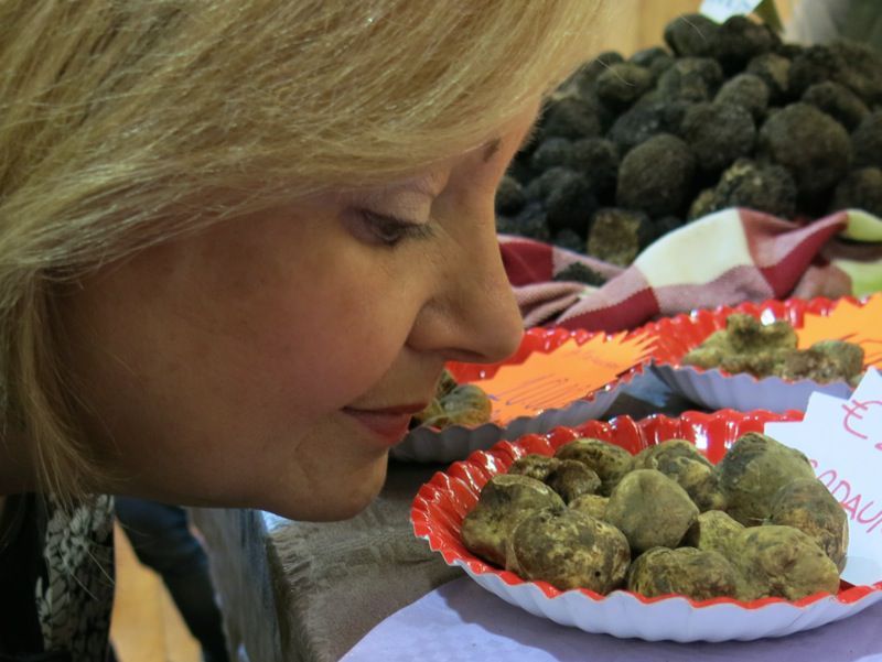 31 Alba Truffle Festival 2014