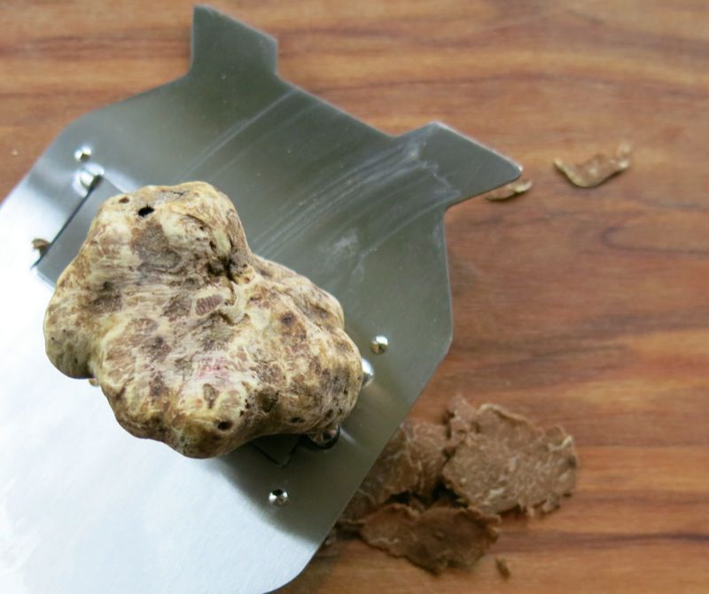 50 White Truffle Alba Truffle Festival 2014