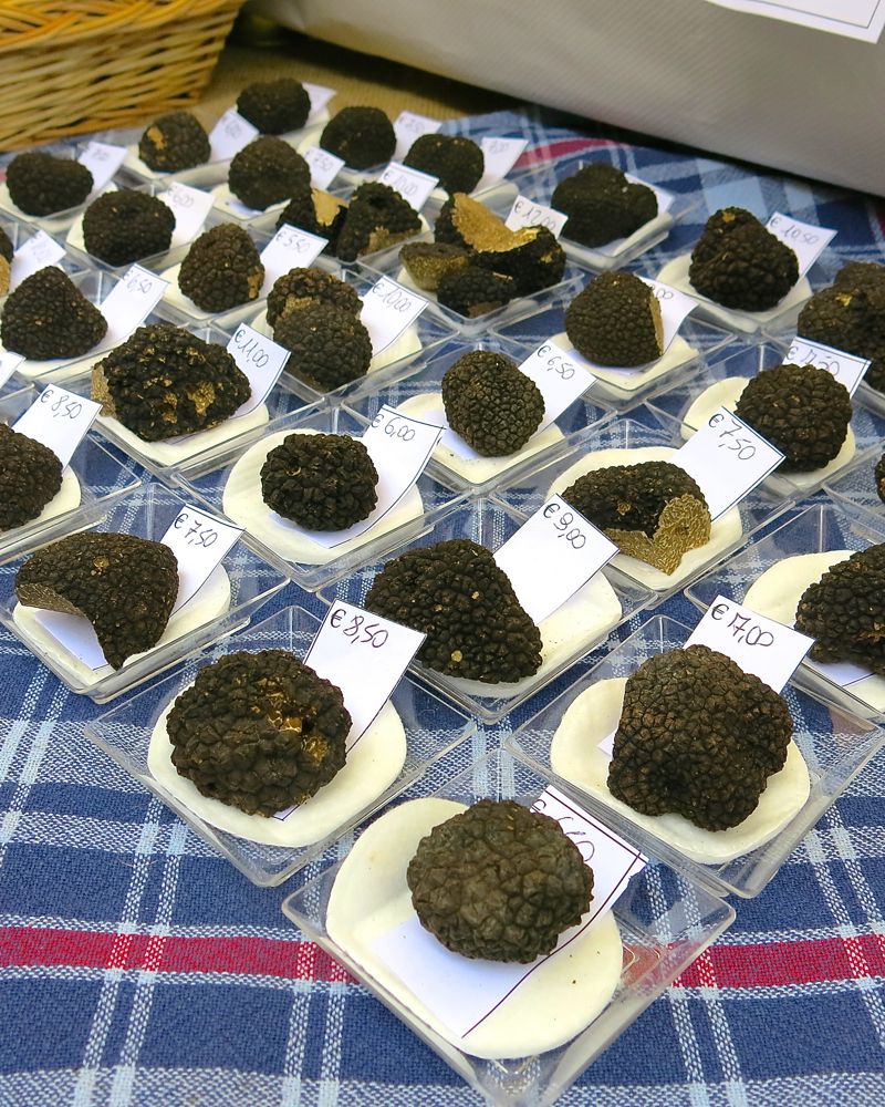 6 Alba Truffle Festival 2014