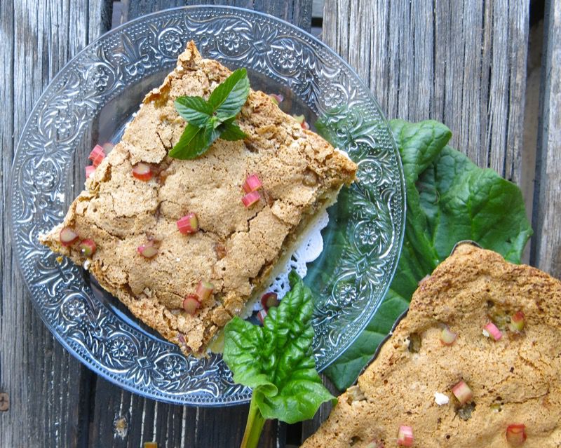 24 Rhubarb Custard Square Custard