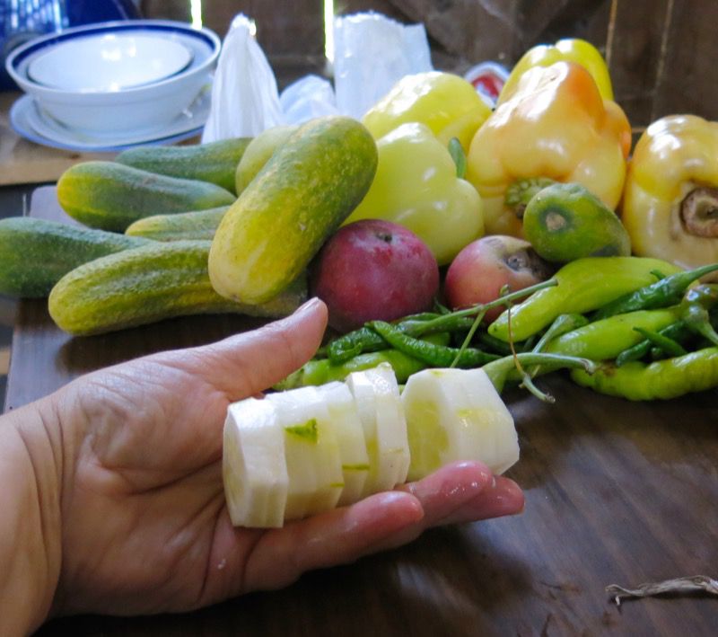 1 Garden Vegetable Salad