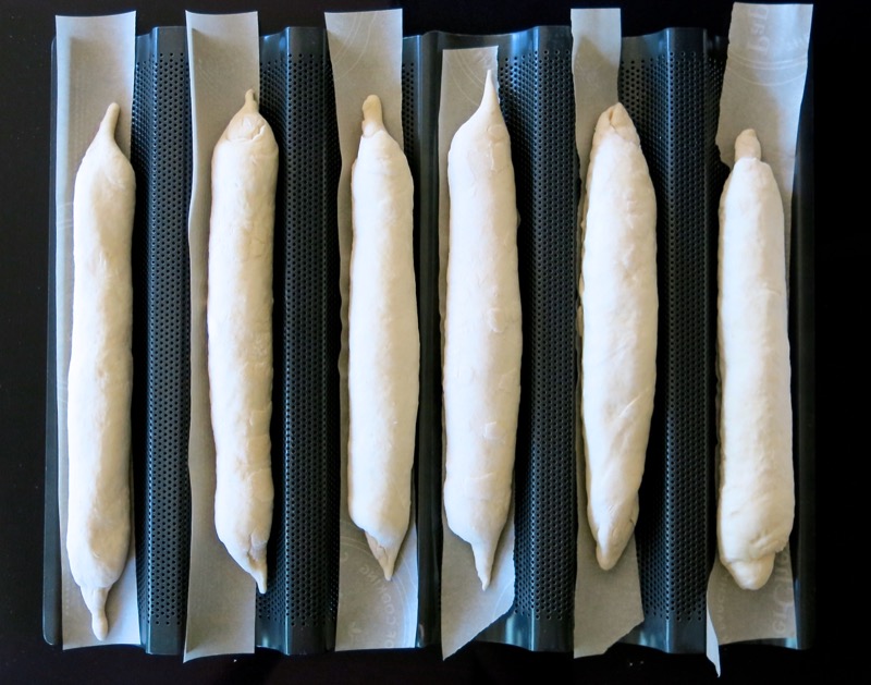 10 Baguettes in Pans to Proof