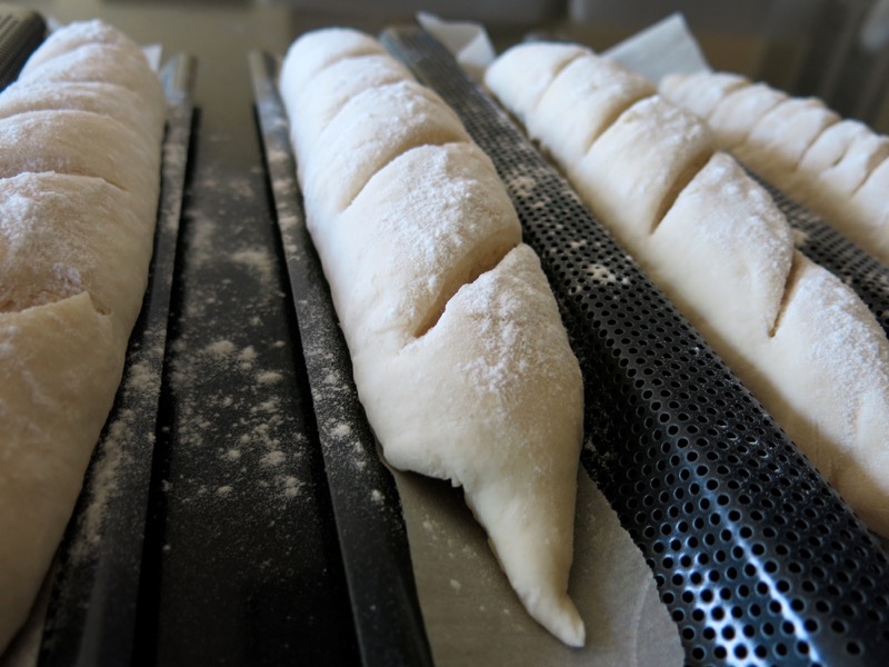 14 Baguettes Slashed after Proofing