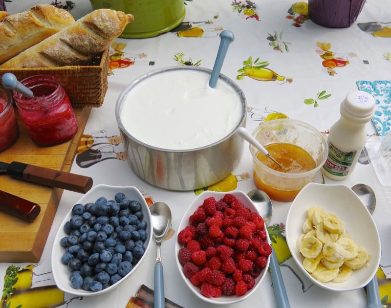 16 Homemade Yogurt