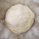 3 Thermomix Baguette Dough for Proofing