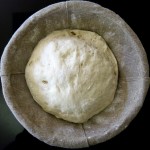 6 Baguette Dough After Proofing