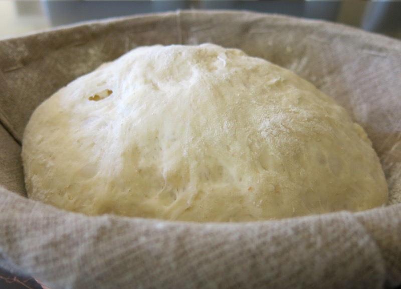 7 Baguette Dough After Proofing