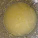 10 Thermomix Lemon Cleaner